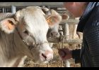 Section agriculture